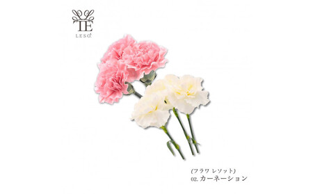 本物の花の香り リード・ディフューザー 【カーネーション】