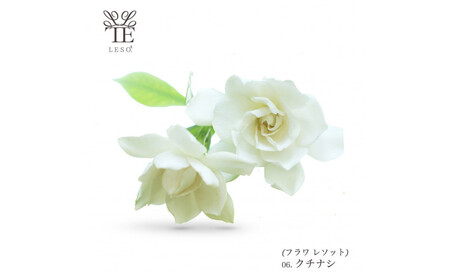 本物の花の香り リード・ディフューザー【クチナシ】