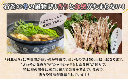 1月30日発送】せり鍋 セット 2-3人前 せり 長ねぎ パックご飯 スープ 鶏肉 セリ セリ鍋 河北せり 野菜 鍋 | 宮城県石巻市 |  ふるさと納税サイト「ふるなび」