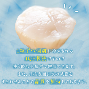 【先行予約】ほたて ＜訳あり＞ 貝柱 500g 加熱用 帆立 ホタテ 石巻市