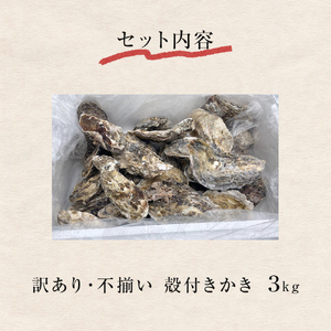 ＜訳あり・不揃い＞冷凍殻付き牡蠣 3kg 宮城県 石巻市 三陸産 カキ かき 加熱用