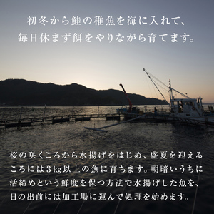 みやぎ サーモン 中落ち 600g（ 200g × 3袋 ） 国産 銀鮭