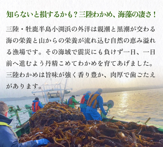世界三大漁場の恩恵をうけて育った 塩蔵わかめ わかめ 三陸わかめ 肉厚 歯応え 茎わかめ