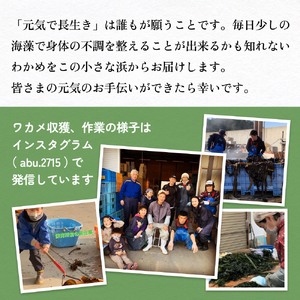 世界三大漁場の恩恵をうけて育った 塩蔵わかめ わかめ 三陸わかめ 肉厚 歯応え 茎わかめ