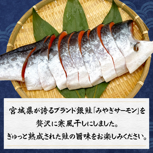 鮭 切り身 みやぎ サーモン 寒風干し 800g×2 宮城県産銀鮭 銀鮭 切身 冷凍 国産