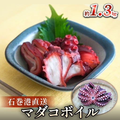 マダコ 煮たこ 石巻港 直送 たこ タコ ボイル 活マダコ 丸ごと おかず おつまみ