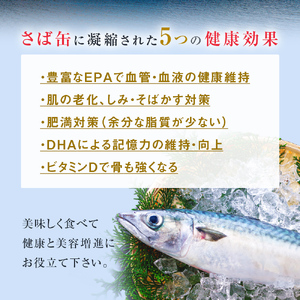 【1月配送】缶詰 さば缶詰 味噌煮 12缶 サバ缶 鯖缶 さば缶 鯖 味噌 国産 常温 長期保管 ローリングストック 備蓄 常温保存 防災 非常食 キャンプ 保存食 長期保存可 缶詰め セット 保存料 無添加 STIみやぎ