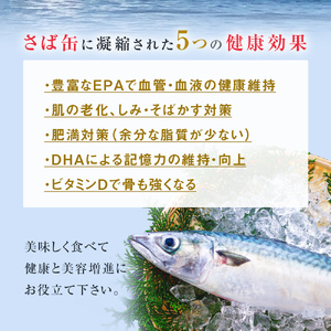 【1月配送】缶詰 さば缶詰 水煮 12缶 サバ缶 鯖缶 さば缶 鯖 国産 常温 長期保管 ローリングストック 備蓄 常温保存 防災 非常食 キャンプ 保存食 長期保存可 缶詰め セット 保存料 無添加 STIみやぎ