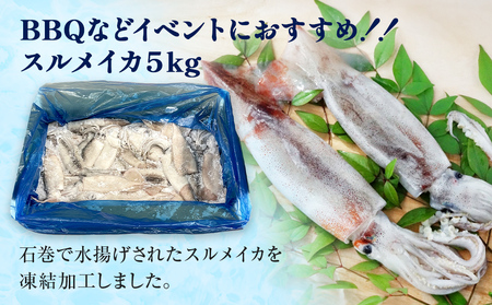 石巻市産スルメイカ5kg 冷凍 煮物 一夜干し いか おかず おつまみ マリネ