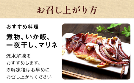 石巻市産スルメイカ5kg 冷凍 煮物 一夜干し いか おかず おつまみ マリネ