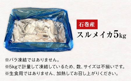 石巻市産スルメイカ5kg 冷凍 煮物 一夜干し いか おかず おつまみ マリネ