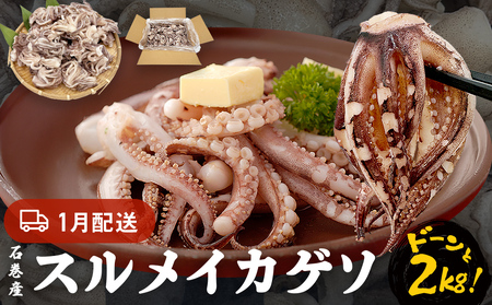 訳あり 石巻産スルメイカゲソ 2kg 1月配送 冷凍 国産 いか 下足 おつまみ ゲソ天 焼イカ おかず