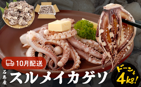 訳あり 石巻産スルメイカゲソ 4kg 10月配送 冷凍 国産 いか 下足 おつまみ ゲソ天 焼イカ おかず