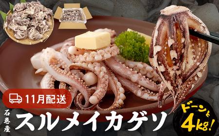 訳あり 石巻産スルメイカゲソ 4kg 11月配送 冷凍 国産 いか 下足 おつまみ ゲソ天 焼イカ おかず