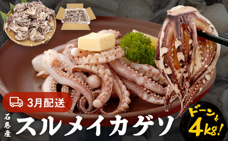 【3月配送】訳あり 石巻産スルメイカゲソ 4kg 冷凍 国産 いか 下足 おつまみ ゲソ天 焼イカ おかず