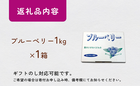 < 先行予約 > ブルーベリー ( 1kg ) 箱入り 生 無農薬 化学肥料不使用 摘みたて 冷蔵 大粒 濃厚 フルーツ 果物