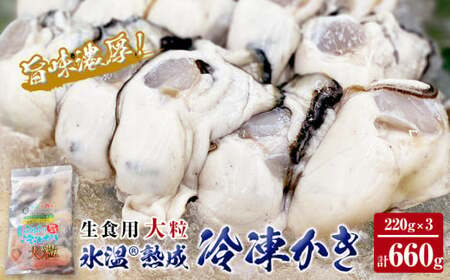 氷温熟成 冷凍 かき ( 生食用 ) 大粒 220ｇ× 3ｐ