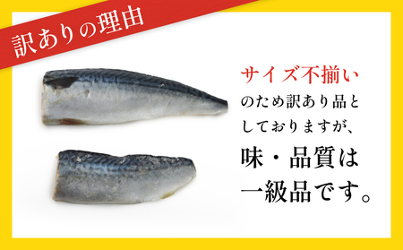 鯖 訳あり 無塩サバフィレ3.5kg （30枚前後）さば サバ さばフィレ 切り身 宮城県 石巻市