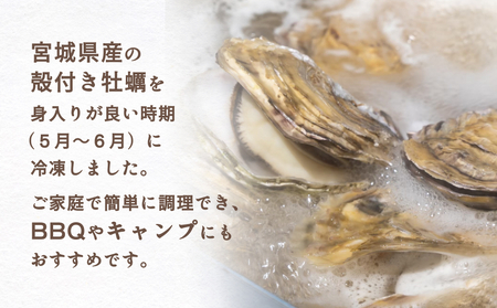 牡蠣 宮城県産 冷凍 殻付き かきカン缶焼きセット 1.5kg 約 10個〜15個