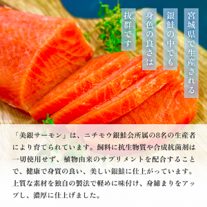 美銀サーモン（生食用）750g 冷凍 切り身 鮭 さけ サケ シャケ 銀鮭 お刺身 カルパッチョ おつまみ