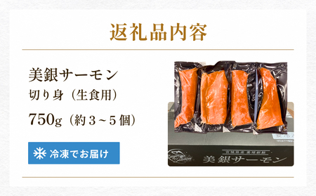 美銀サーモン（生食用）750g 冷凍 切り身 鮭 さけ サケ シャケ 銀鮭 お刺身 カルパッチョ おつまみ
