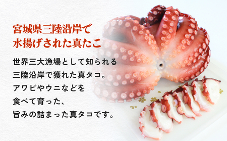 真たこ ボイル  約1kg 蛸 たこ タコ ボイル済み 冷凍 小分け CAS凍結 海鮮 魚介類