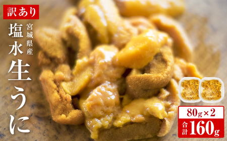 ＜先行予約：2026年5月下旬以降順次発送＞ 生うに ウニ 訳あり 塩水生うに 宮城県産  160g（80g×2） 生ウニ 生雲丹 うに 雲丹 塩水うに 塩水ウニ 塩水雲丹 冷蔵 期間限定 数量限定