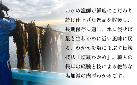 三陸産 塩蔵わかめ 900g（ 300g × 3袋 ） 塩蔵 肉厚 柔らかい わかめ ワカメ 国産 海藻 水産物