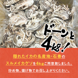 訳あり 石巻産スルメイカゲソ 4kg 9月配送 冷凍 国産 いか 下足 おつまみ ゲソ天 焼イカ おかず