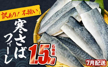 さば 〈 訳あり 〉7月配送 宮城県産 寒さば フィーレ 無塩 1.5kg 冷凍　魚 青魚 鯖 切身 焼魚 煮魚 わけあり 不揃い ご家庭用 食塩無添加 国産 鯖フィレ サバフィーレ 切り身 バラバラ冷凍 鯖の味噌味 宮城県 石巻市