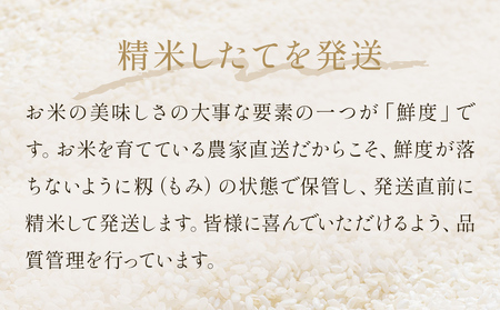 米 令和7年産 コシヒカリ 精米 5kg 単品  こめ コメ お米 ご飯 白米 こしひかり