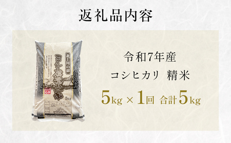 米 令和7年産 コシヒカリ 精米 5kg 単品  こめ コメ お米 ご飯 白米 こしひかり