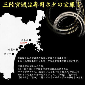 三陸産 金華刺身盛合せ 冷凍 マグロ サーモン ホタテ サバ ヒラメ エビ お寿司 寿司 寿司ネタ 刺身 魚 お魚