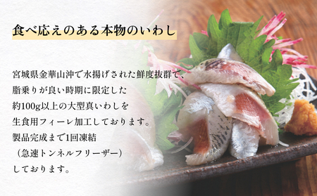 大とろ金華いわしフィーレ 500g 金華いわし 鰯 いわし イワシ フィレ 切身 魚 魚介 海鮮 魚介類 急速冷凍