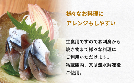 お刺身 秋刀魚 フィーレ 500g サンマ さんま フィレ 切身 生食用 魚 魚介 海鮮 魚介類 急速冷凍