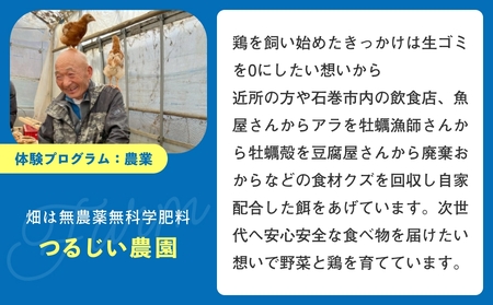 通常プラン-ご希望の日付で予約可！体験プログラム付1棟貸切 グループ2泊（４名まで）