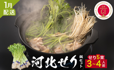 ＜1月配送＞ せり鍋セット せり5束 3-4人前 河北せり 鍋 せり 鍋セット 宮城県産 セリ鍋 芹 根せり 根っこ 宮城県 石巻市 長ねぎ パックご飯 スープ 鶏肉 セリ セリ鍋 野菜 鍋 しゃぶしゃぶ お取り寄せ グルメ 人気 ご当地鍋