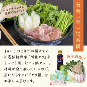 ＜1月配送＞ せり鍋セット せり5束 3-4人前 河北せり 鍋 せり 鍋セット 宮城県産 セリ鍋 芹 根せり 根っこ 宮城県 石巻市 長ねぎ パックご飯 スープ 鶏肉 セリ セリ鍋 野菜 鍋 しゃぶしゃぶ お取り寄せ グルメ 人気 ご当地鍋