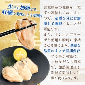 【 訳あり 】 生食用 冷凍 牡蠣 ( むき身 ) 500g × 2p 牡蠣むき身 むき身 むき牡蠣 生食 カキ オイスター 濃厚 冷凍かき 宮城 冷凍 冷凍カキ バラバラ冷凍 かき 海鮮 魚介 貝類 海の幸 宮城県 石巻市 宮城 石巻