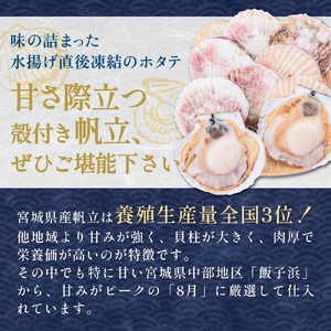 【冷凍・生食用】 殻付き帆立 30枚 帆立 ホタテ ほたて 殻付き 生食 生食用 肉厚