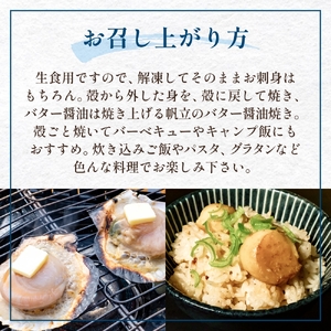 【冷凍・生食用】 殻付き帆立 30枚 帆立 ホタテ ほたて 殻付き 生食 生食用 肉厚