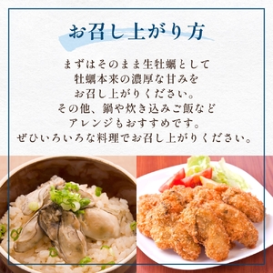 宮城県産 生食用牡蠣 一年子生カキ むき身 500g かき カキ 剥き身 生牡蠣 プリプリ 濃厚