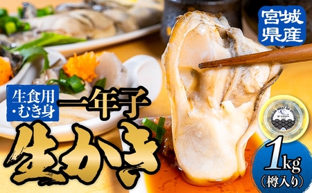 宮城県産 生食用牡蠣 一年子生カキ むき身 1kg かき カキ 剥き身 生牡蠣 プリプリ 濃厚