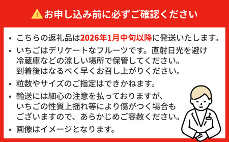 【2026年1月中旬より発送開始】 いちご 恋みのり とちおとめ 250g×4パック ギフト 苺 イチゴ フルーツ 果物 ストロベリー ベリー デザート 甘み 酸味 宮城県 石巻市
