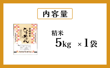 米 ひとめぼれ 精米 5kg 令和7年産 白米 ヒトメボレ お米 ごはん ご飯 5キロ 産地直送 米処 美味しい おこめ こめ さっぱり 防災減災