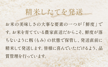 令和7年産 ササニシキ 精米 10kg（5kg×2）単品