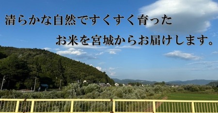 米 つや姫 令和7年産 精米 10kg 宮城県産 石巻市 こめ コメ お米 ツヤ姫 ご飯 ごはん 主食 おにぎり 美味しい 甘み 旨み 防災減災