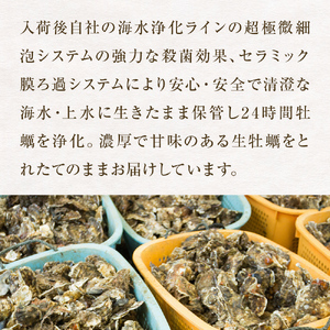 宮城県産 牡蠣 殻付き 生食用 18個（6個入×3袋） 冷凍 カキ 防災減災