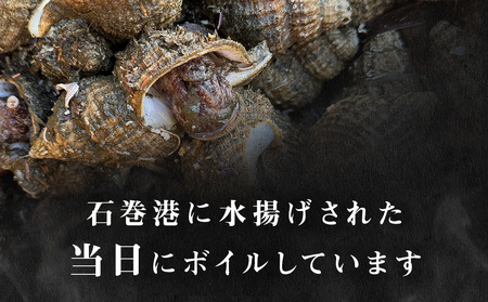おかずつぶ ４袋セット 1袋 260g（ 固計量150g ）アヤボラ貝 宮城県産 ご飯のお供 おつまみ 冷凍