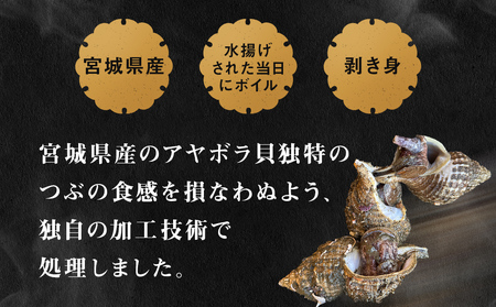 おかずつぶ ４袋セット 1袋 260g（ 固計量150g ）アヤボラ貝 宮城県産 ご飯のお供 おつまみ 冷凍